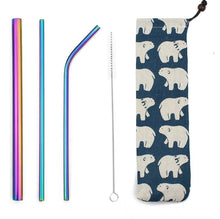 Load image into Gallery viewer, Eco- Friendly Metal Re-Usable Straws - Rainbow in Polar Bear Pouch
